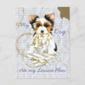 My Biewer Terrier Ate My Lesson Plan Postkarte (Vorderseite)