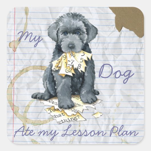 My Bouvier Ate My Lesson Square Sticker (Vorderseite)