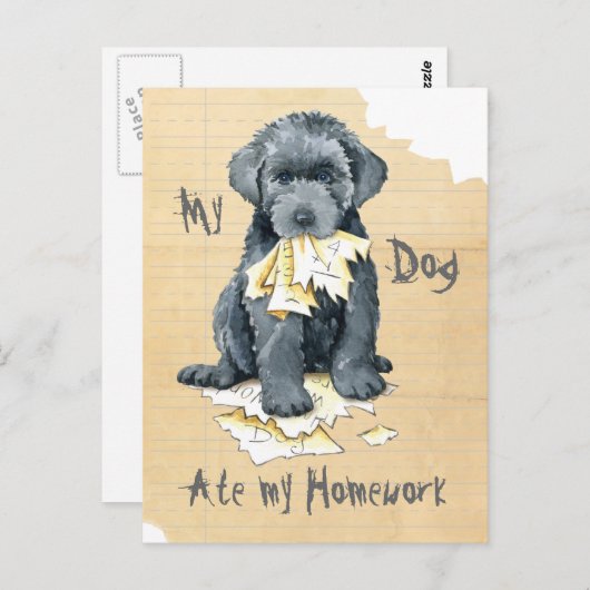 My Bouvier des Flandres Ate My Hausaufgaben Postca Postkarte (Vorne/Hinten)