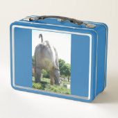 My Brontosaurs Dinosaur Metall Brotdose (Rückseite)