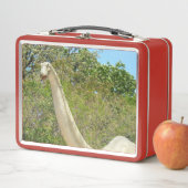 My Brontosaurus Dinosaur Metall Brotdose (Beispiel)