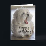 **MY BROTHER** HAPPY BIRTHDAY CARD KARTE<br><div class="desc">WAS IST DAS? AND HOW GOOD WILL HE OR SHE FEEL WHEN YOUR **BROTHER** GETS THIS ON HIS BIRTHDAY?   UND DON'T FORGET YOU CAN CHANGE THE VERSE,  AND,  THE MACHEN WIR ALL MY CARDS. HAVE A HAPPY DAY AND THANK YOU FOR STOPPING BY 1 OF MY 8 STORES!</div>