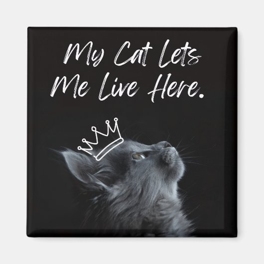 My Cat Lets Me Live Here Magnet (Vorne)