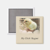"My Chick Magnet" mit Baby Chicken Magnet (Vorderseite/Rückseite)