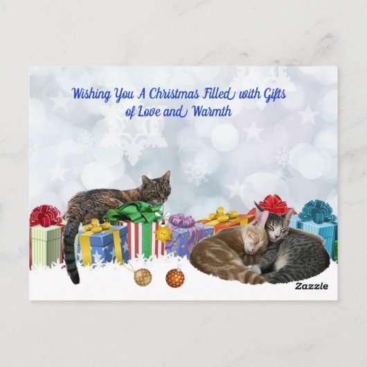 MY CHRISTMAS CARD 2024 Test Postkarte (Rückseite)