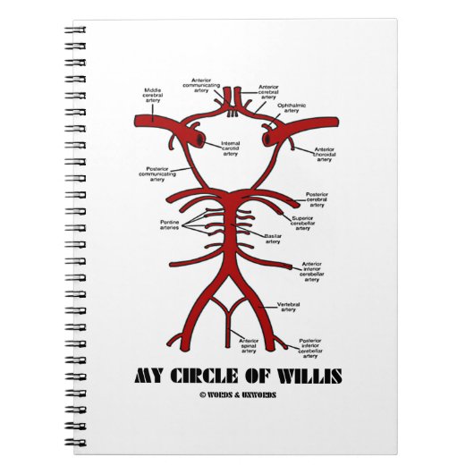 My Circle Of Willis Notizblock (Vorderseite)