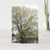 My Deepest Sympathy Karte (Vorderseite)