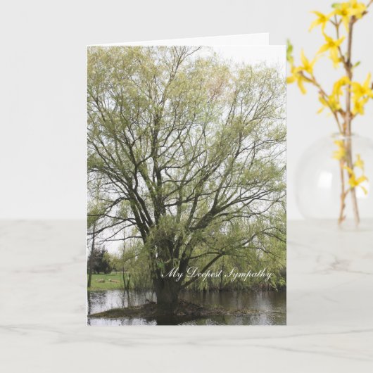 My Deepest Sympathy Karte (Gelbe Blume)
