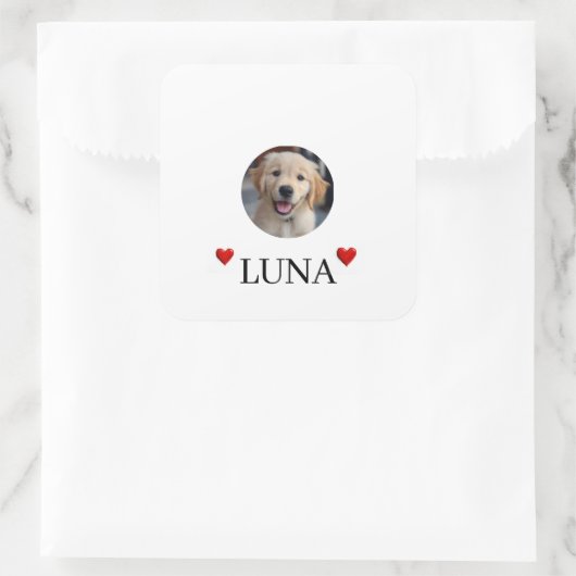 My Dog Personalized Photo & Name Stickers (Tasche)