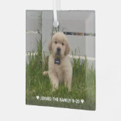 My Dog Photo Christmas Ornament Aus Glas (Vorderseite links)