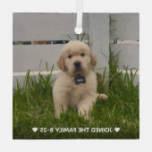 My Dog Photo Christmas Ornament Aus Glas (Rückseite)