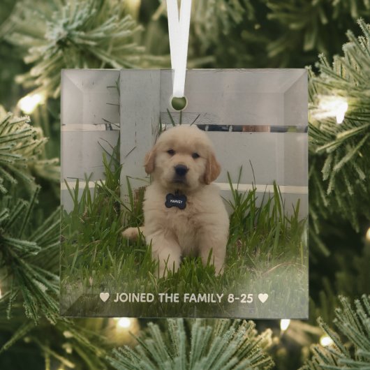 My Dog Photo Christmas Ornament Aus Glas (Insitu)