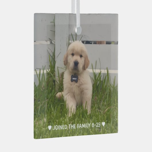 My Dog Photo Christmas Ornament Aus Glas (Vorderseite Rechts)