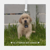 My Dog Photo Christmas Ornament Aus Glas (Rückseite)