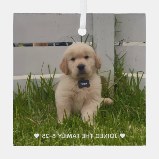 My Dog Photo Christmas Ornament Aus Glas (Rückseite)