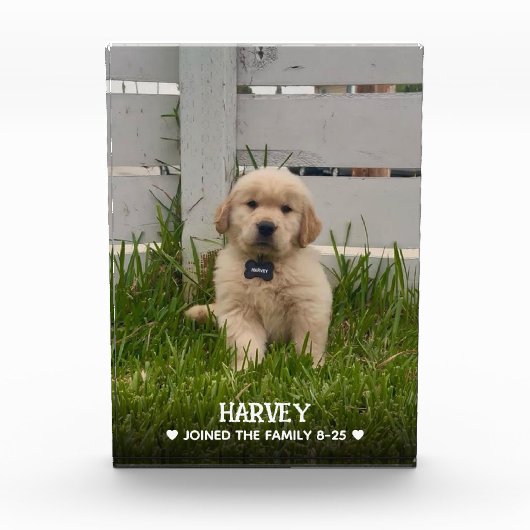 My Dog Photo Fotoblock (Vorderseite)