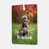 My First Christmas Custom Pet Name Photo Ornament Aus Metall (Vorderseite links)