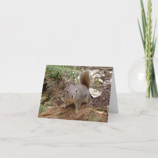 My Friend Fuzzy Karte (Vorderseite)