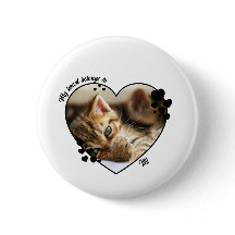 My heart belongs to customized cat T-Shirt