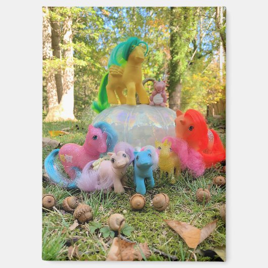 My Little Pony Autumn Gathering Magnet (Vorderseite)