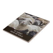 My Sheep Hear My Voice, Scripture, Sheep in Herd Fliese (Seite)