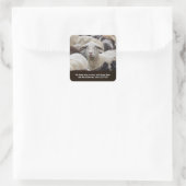 My Sheep Hear My Voice, Scripture, Sheep in Herd Quadratischer Aufkleber (Tasche)