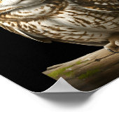 My Srit Animal Funny Meowl, Cursed Cat Owl Brainro Poster (Ecke)