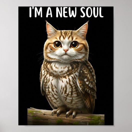 My Srit Animal Funny Meowl, Cursed Cat Owl Brainro Poster (Vorne)