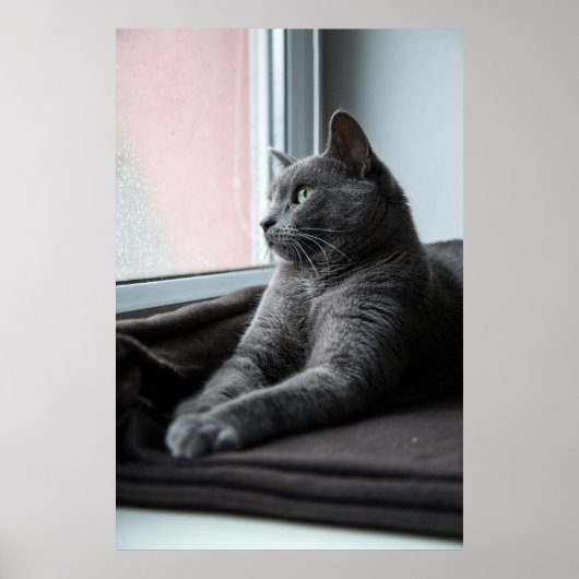 MY SWEETHEART ROUTER RESCUED KITTEN POSTER (Vorne)