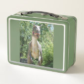 My T-Rex Dinosaur Metall Brotdose (Rückseite)