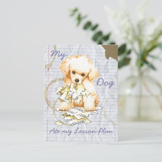 My Toy Poodle Ate my Lektion Plan Postkarte (Stehend Vorderseite)