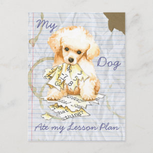 My Toy Poodle Ate my Lektion Plan Postkarte