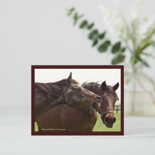 My Turbulent Miss with Taba Postcard Postkarte (Stehend Vorderseite)