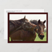 My Turbulent Miss with Taba Postcard Postkarte (Vorne/Hinten)