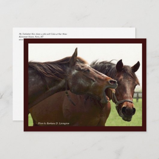 My Turbulent Miss with Taba Postcard Postkarte (Vorne/Hinten)