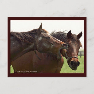 My Turbulent Miss with Taba Postcard Postkarte