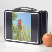 My Tyrannosaurs Rex Metall Brotdose (Beispiel)