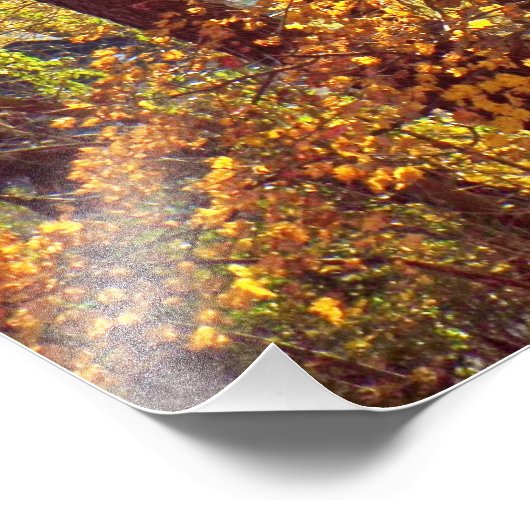 my view fotodruck (Ecke)