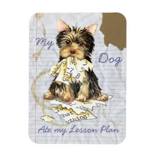 My Yorkie Ate my Lesson Plan Magnet