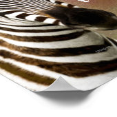 My Zebra Ate Meine Hausaufgaben-Klassenzimmer-Post Poster (Ecke)