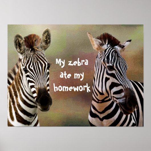 My Zebra Ate Meine Hausaufgaben-Klassenzimmer-Post Poster (Vorne)