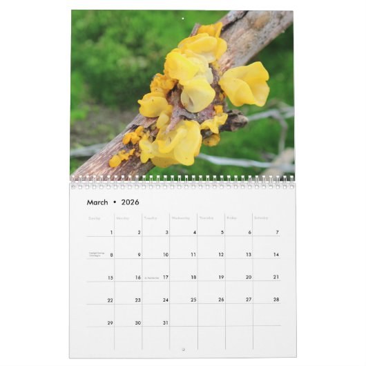 Mycelium, Mushrooms and Fungus Kalender (Mär 2026)