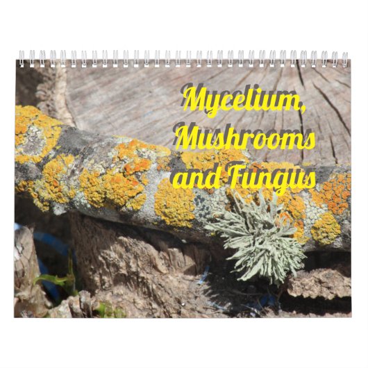 Mycelium, Mushrooms and Fungus Kalender (Titelbild)