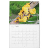 Mycelium, Mushrooms and Fungus Kalender (Mär 2027)