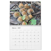 Mycelium, Mushrooms and Fungus Kalender (Feb 2027)