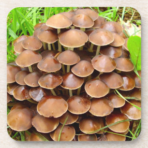 Mycena inclinata Mushroom Hard Plastic Untersetzer