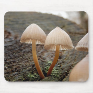 Mycena inclinata Mushroom Mouse Mat Mousepad