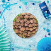 Mycena inclinata Mushroom Paper Teller (Party)