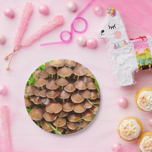 Mycena inclinata Mushroom Paper Teller (Party)