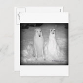 Mychtar und Snowdog ! : Feiertagspostkarte (Vorne/Hinten)